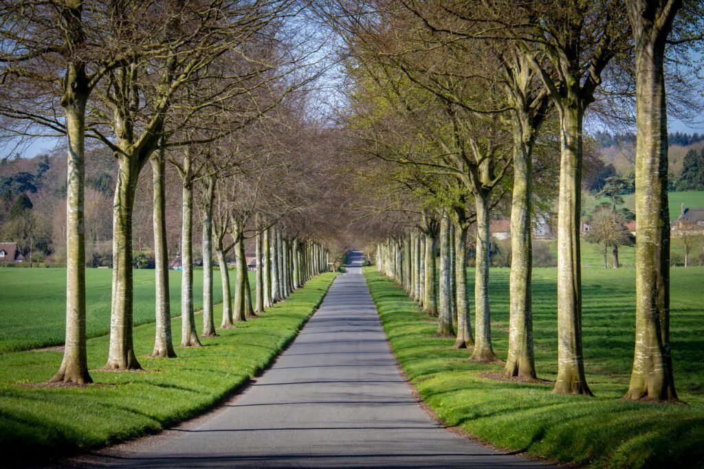 Long road showing long term planning & growth